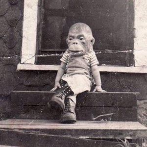 Meet your Posher, George